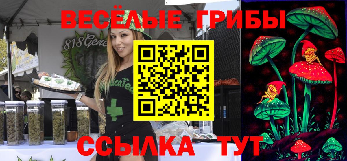 Галлюциногенные грибы мухоморы  Псилоцибиновые грибы Psilocybine cubensis  Заводоуковск  Вход с VPN 