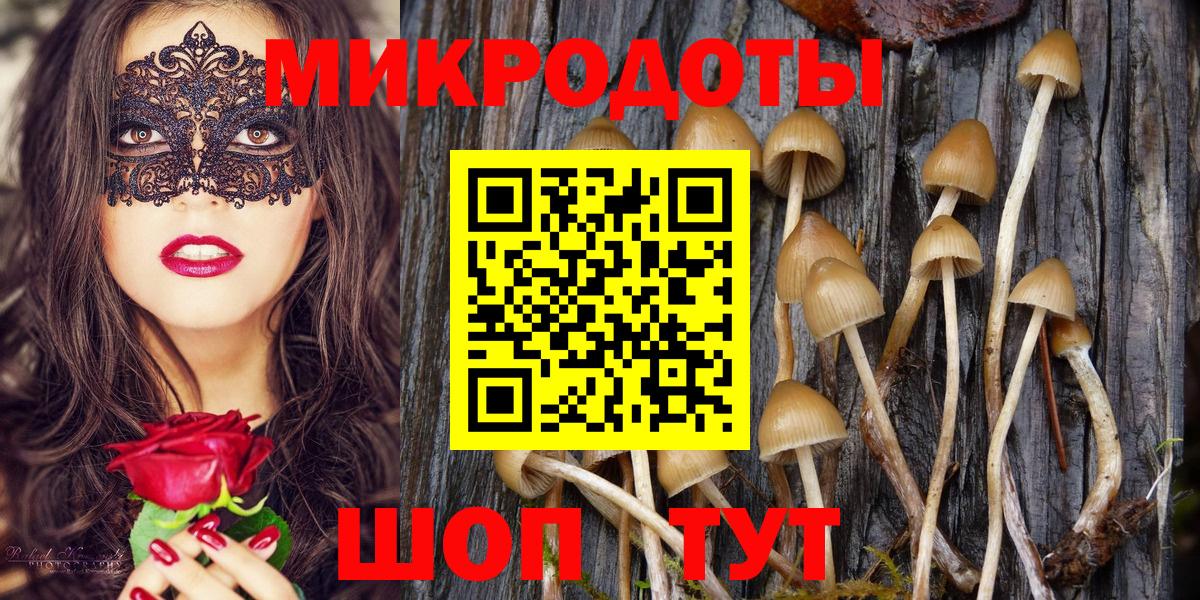 Галлюциногенные грибы GOLDEN TEACHER Заводоуковск
